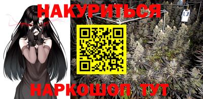 прущие грибы Ковров