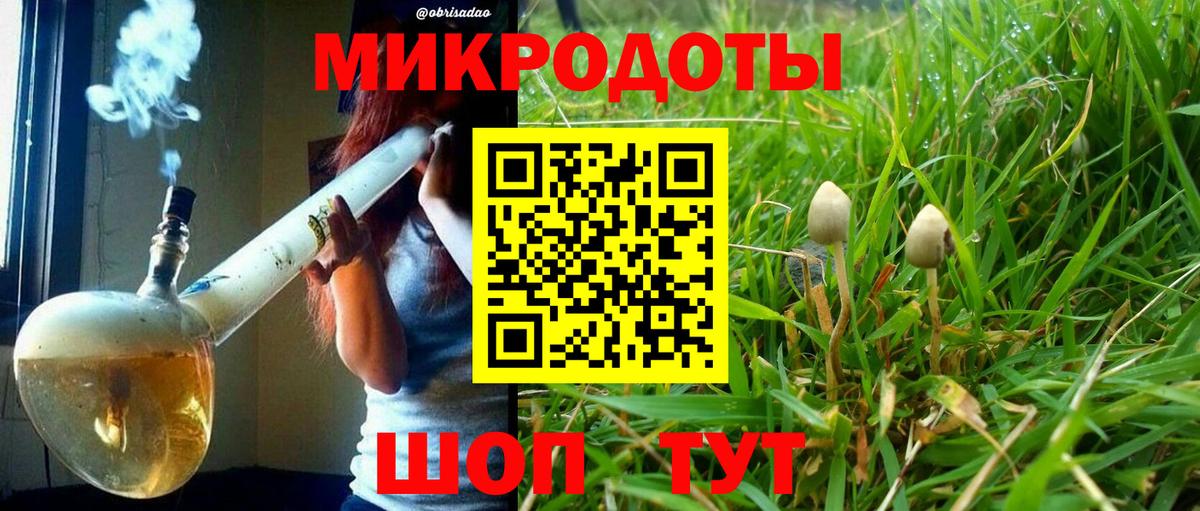 Псилоцибиновые грибы MAGIC MUSHROOMS Анапа